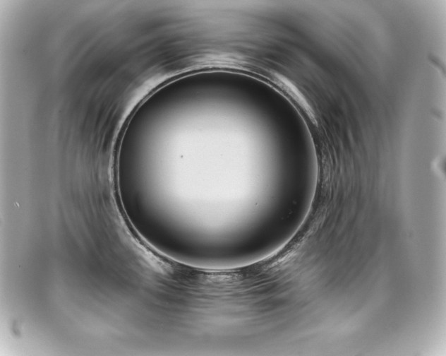 X0000099481339200805091600