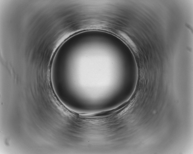 X0000099481340200805091600