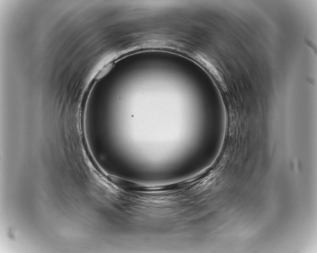 X0000099481342200805091600