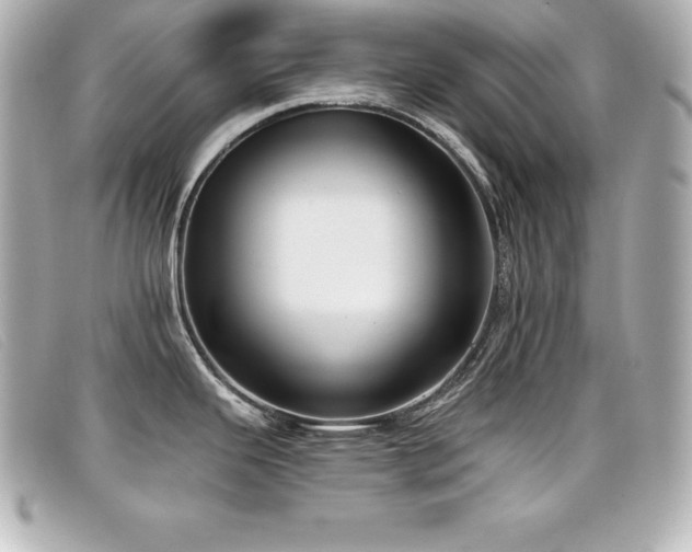 X0000099481343200805091600