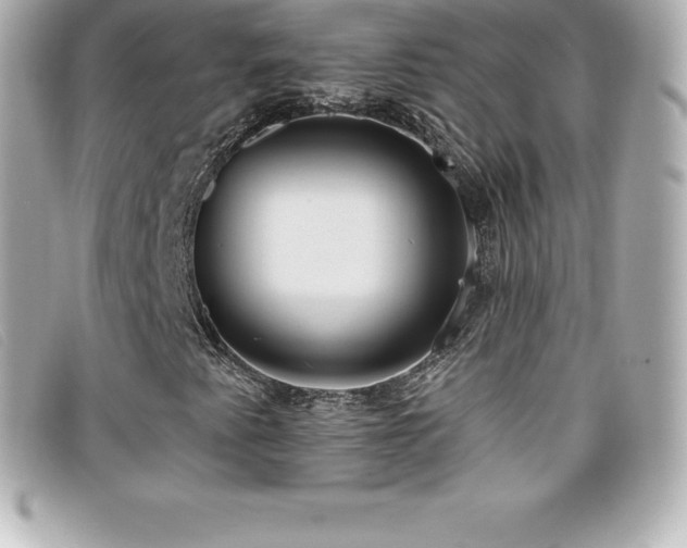 X0000099481345200805091600