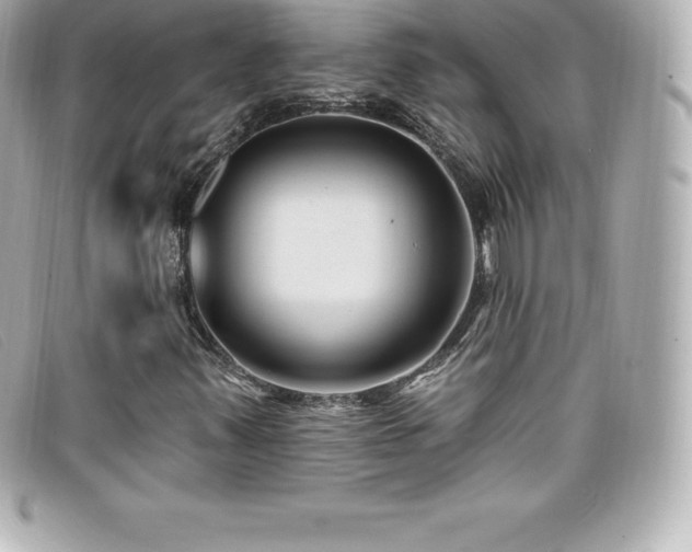 X0000099481347200805091600