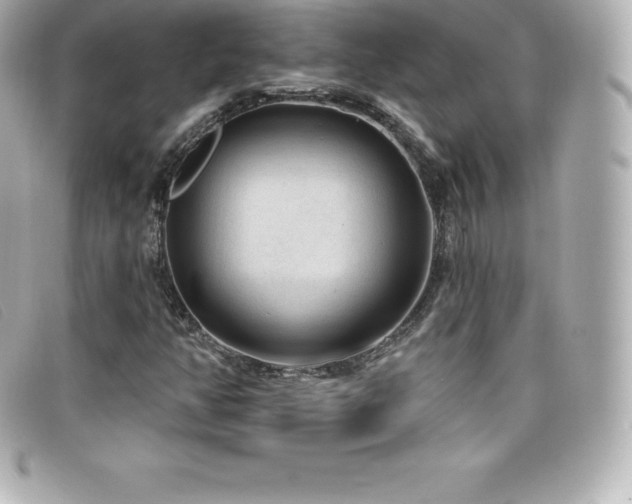 X0000099481350200805091559
