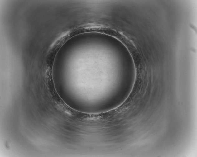X0000099481351200805091559