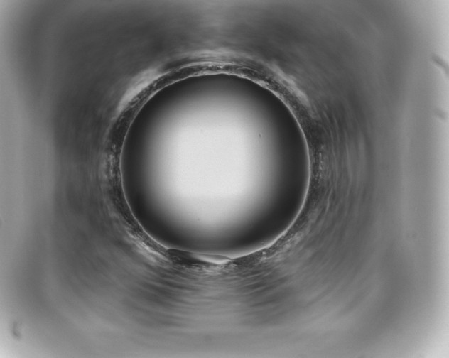 X0000099481352200805091559
