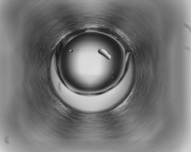 X0000099481353200805091559