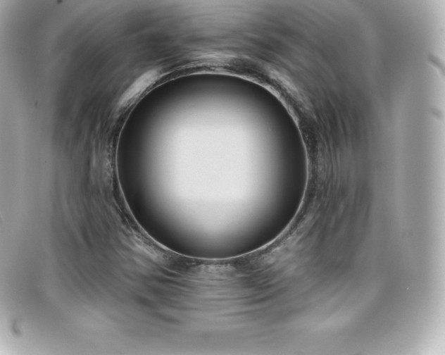 X0000099481354200805091559