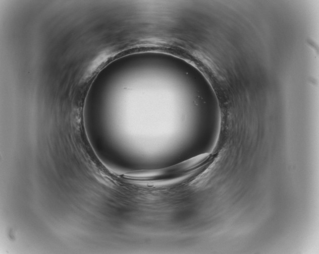 X0000099481355200805091559