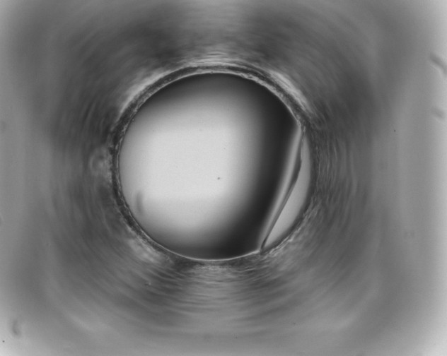 X0000099481356200805091559