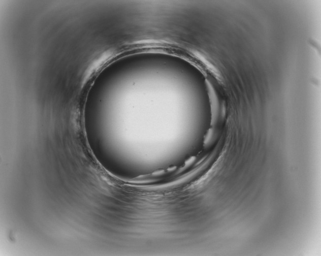 X0000099481357200805091559