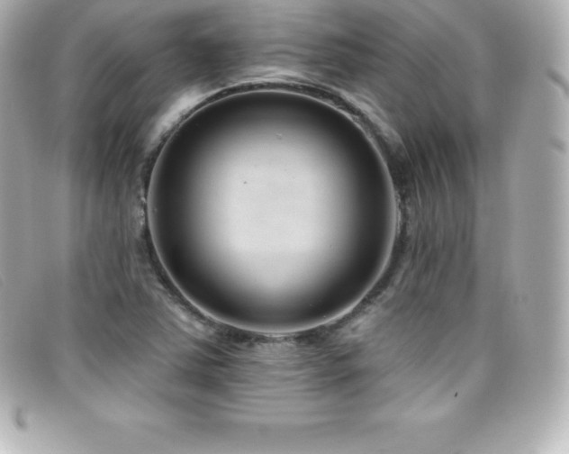 X0000099481363200805091559