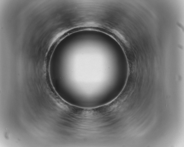X0000099481364200805091559