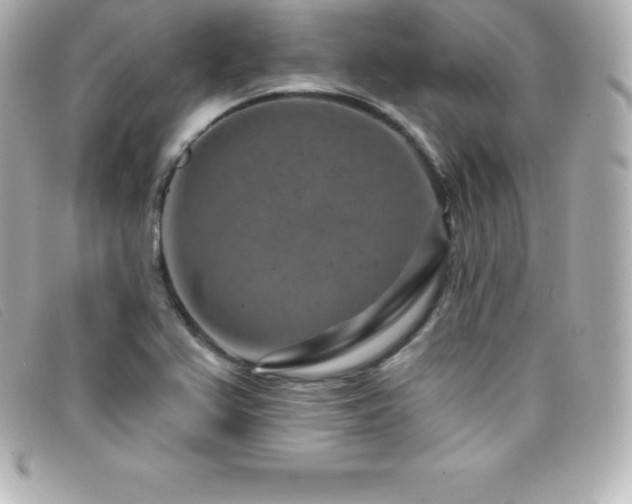 X0000099481367200805091559