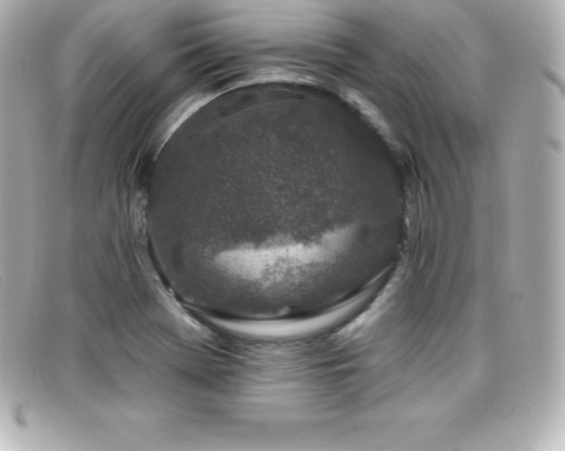 X0000099481369200805091559