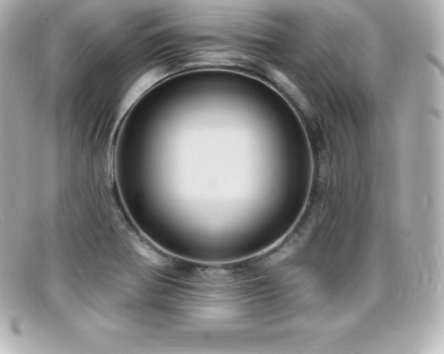 X0000099481370200805091559