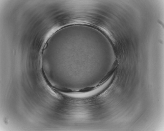 X0000099481371200805091559
