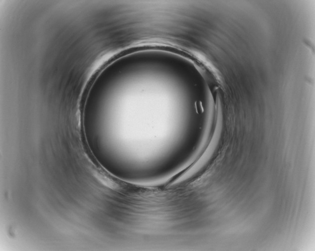 X0000099481372200805091559