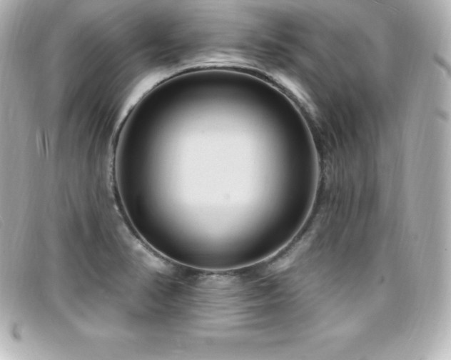 X0000099481374200805091559