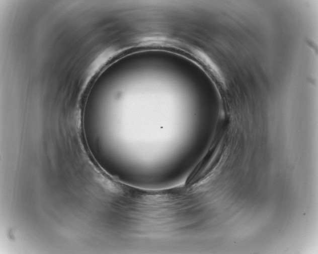 X0000099481376200805091559