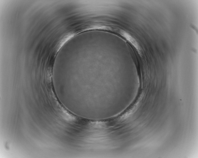 X0000099481377200805091559