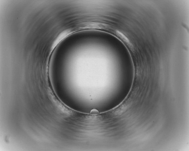 X0000099481378200805091559