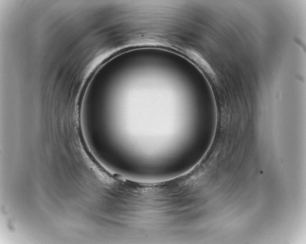 X0000099481380200805091559