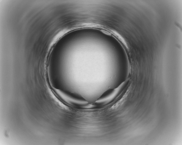 X0000099481381200805091559
