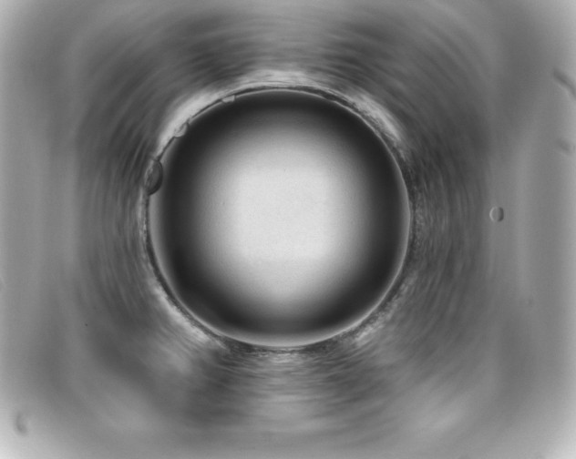 X0000099481382200805091559