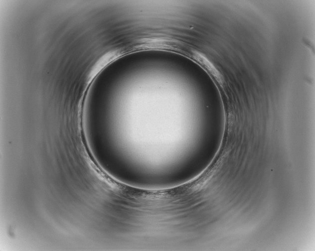 X0000099481386200805091559