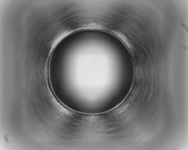 X0000099481387200805091559