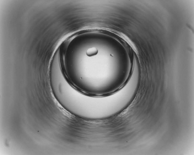 X0000099481388200805091559