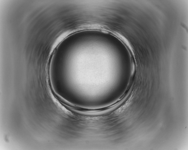 X0000099481389200805091559
