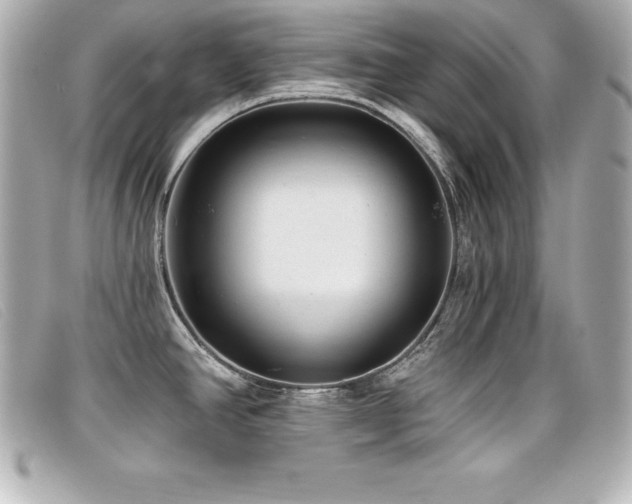 X0000099481390200805091559