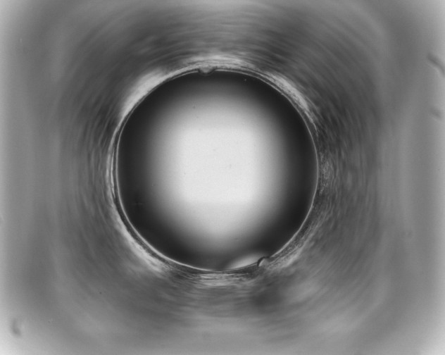 X0000099481391200805091559