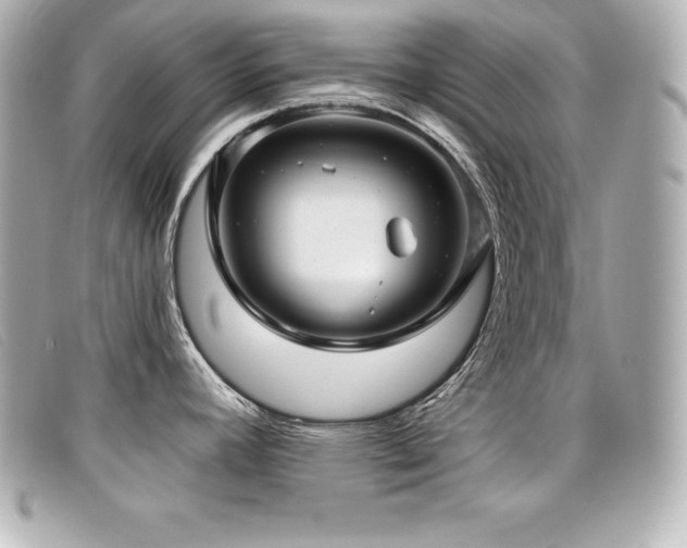 X0000099481392200805091559