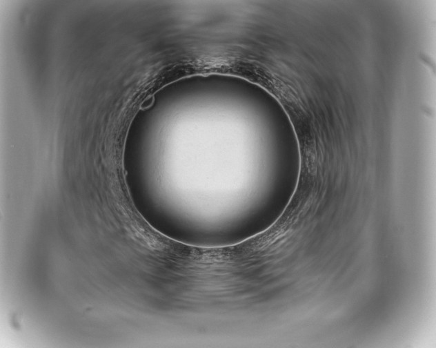 X0000099481393200805091558