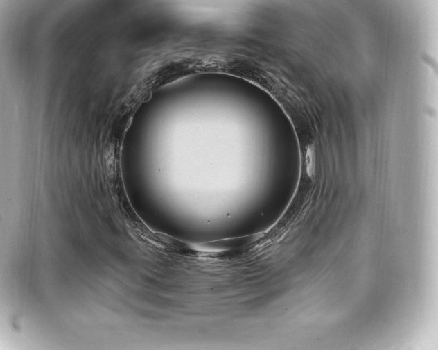 X0000099481395200805091558