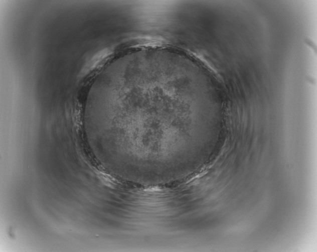 X0000099481399200805091558