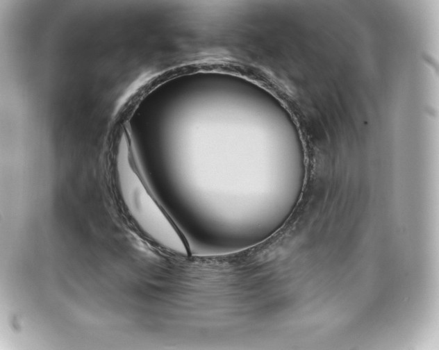 X0000099481400200805091558