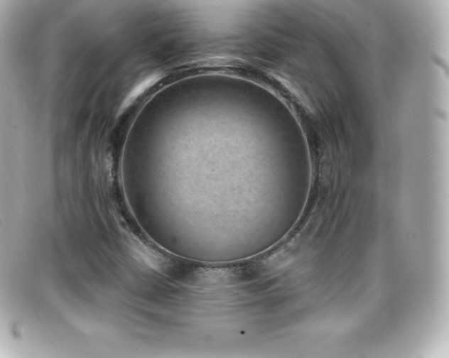 X0000099481402200805091558
