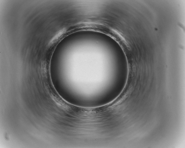 X0000099481403200805091558
