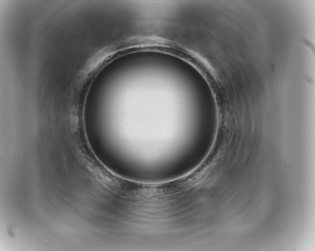 X0000099481407200805091558
