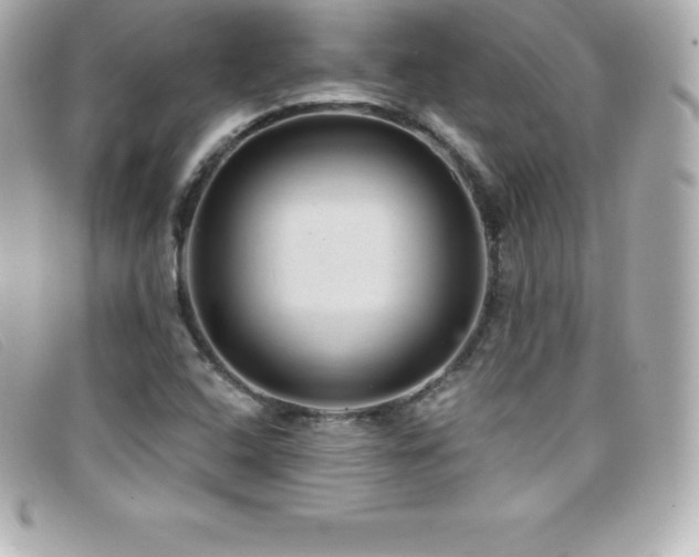 X0000099481408200805091558