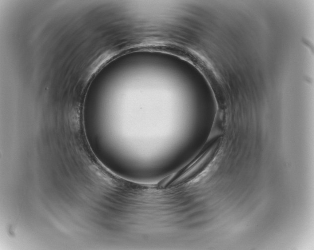 X0000099481409200805091558