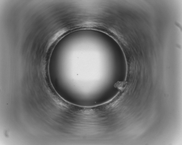 X0000099481410200805091558