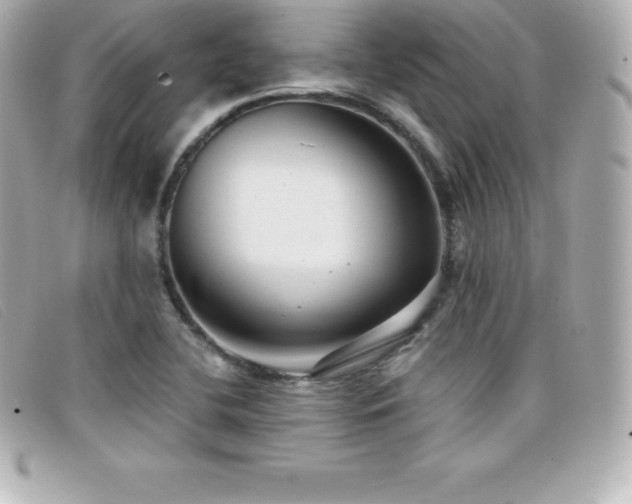 X0000099481412200805091558