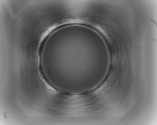 X0000099481414200805091559