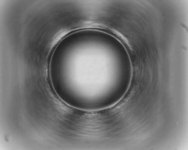 X0000099481415200805091559