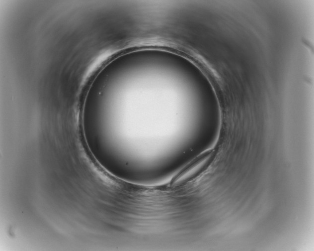 X0000099481416200805091559