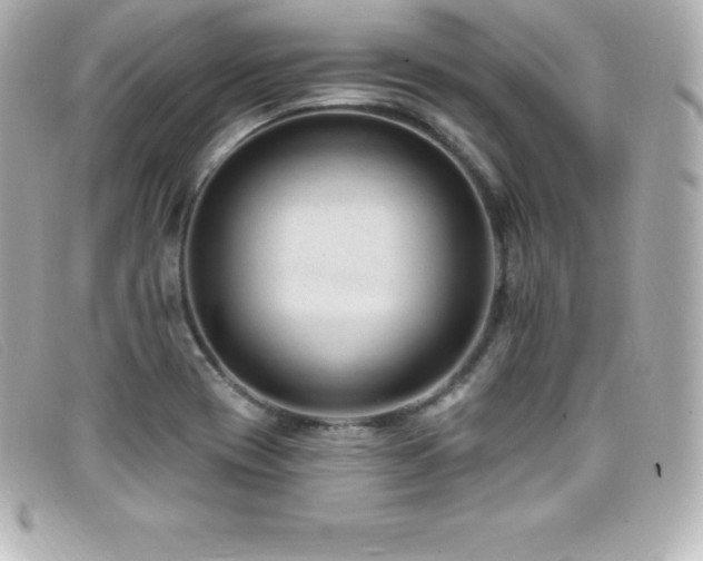 X0000099481417200805091559